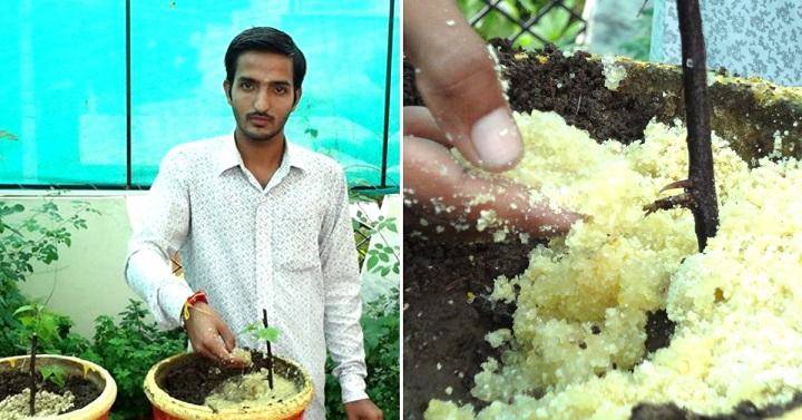 Eco-Friendly Water Retention Polymer (EFP) Invented by an Indian Student